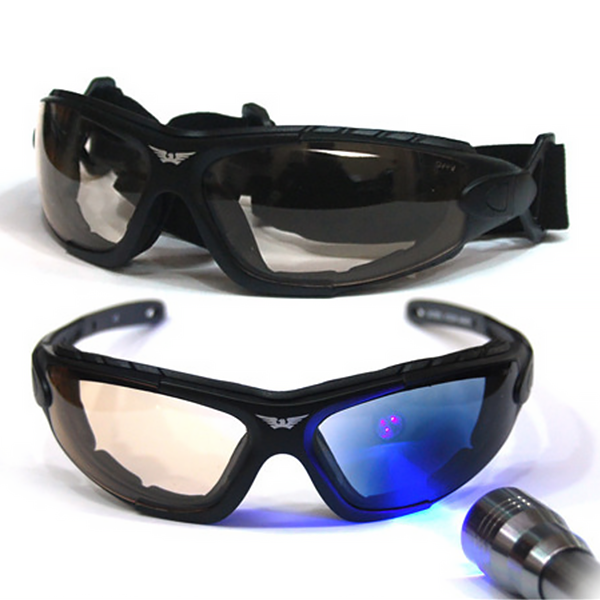 Daisy on the Ohoopee